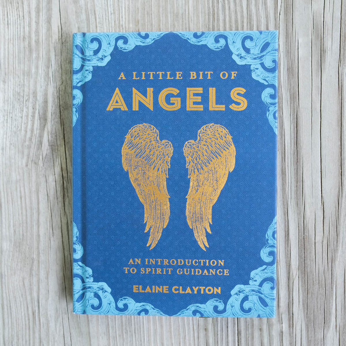 a little bit of angels book