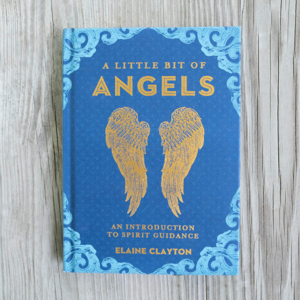 a little bit of angels book