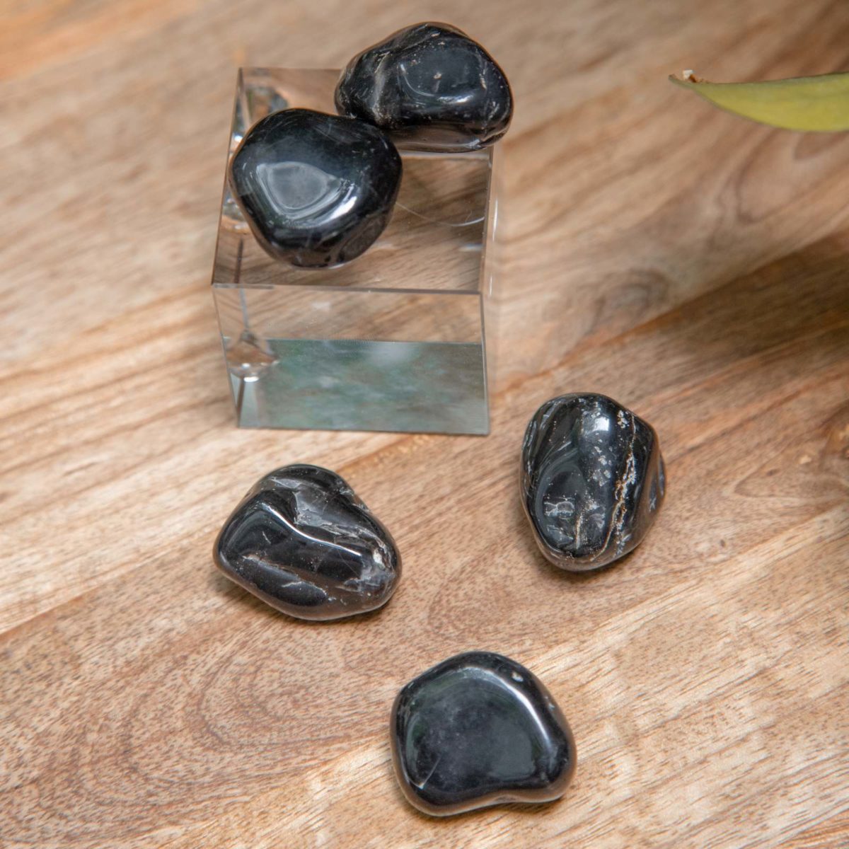 black onyx tumble stone