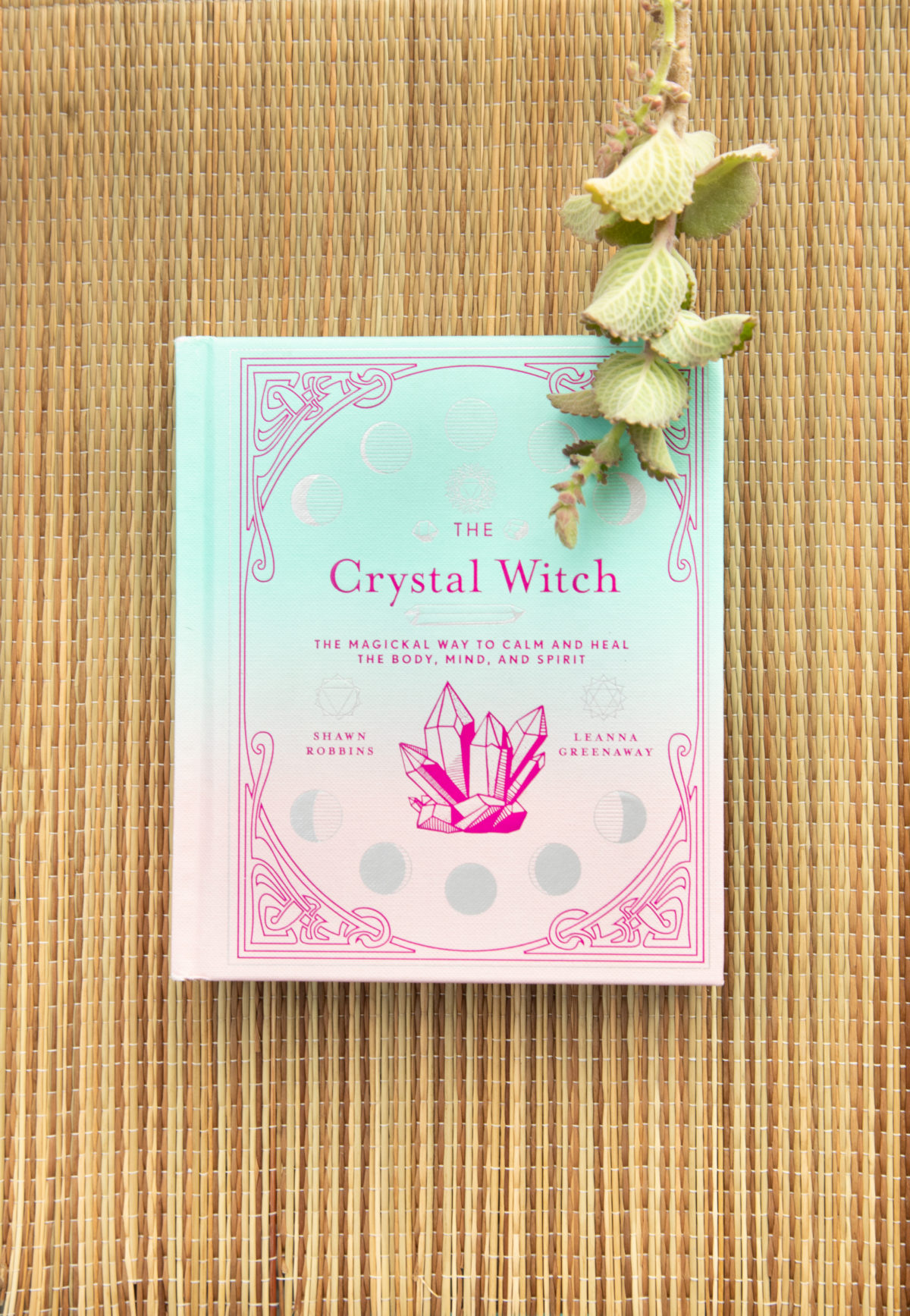 the crystal witch book