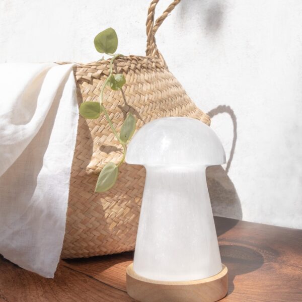 selenite lamp