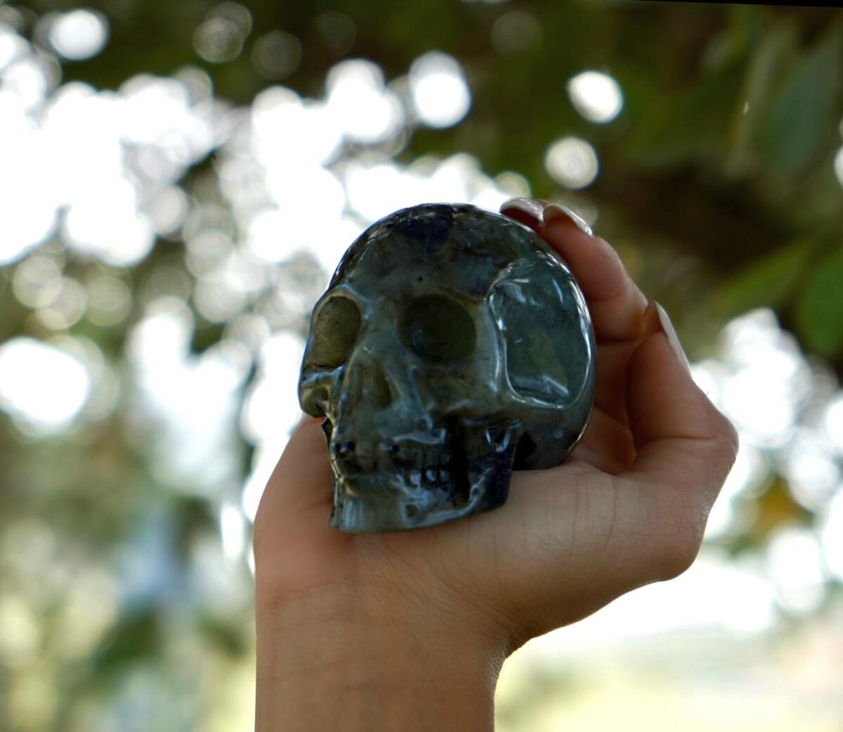 labradorite skull