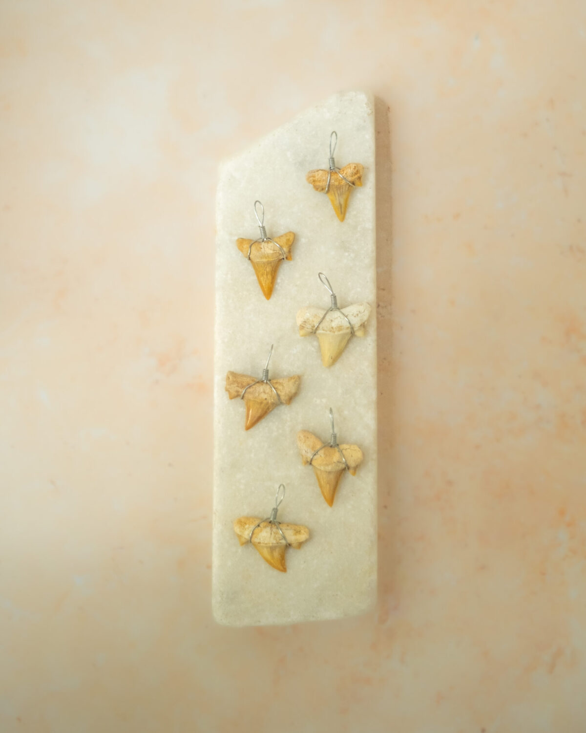 shark tooth pendant
