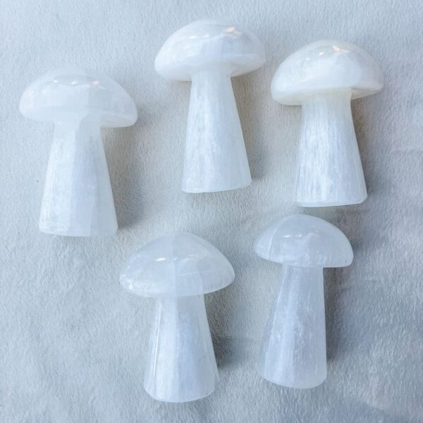 selenite mushroom