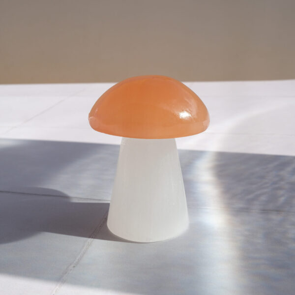 White & Orange Selenite Mushroom